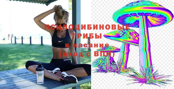 мяу мяу кристалл Инта